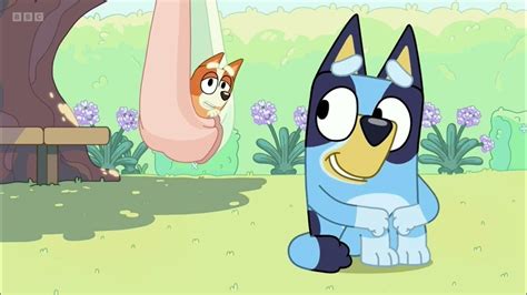 In Bluey, season 1, episode 15, "Butterflies," Bingo is left all alone in the backyard after Bluey runs off with her friend Judo. . Bluey poor little bug episode
